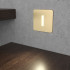 Surface-mounted LED Wall Light Integrator IT-724